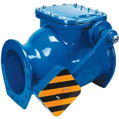 Swing check valve
