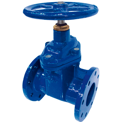 RSV gate valve